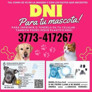 ¡Revolucionario servicio de “DNI para Mascotas” ahora disponible!
