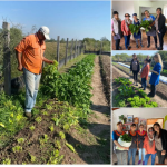 Alumnos de Taller de Huerta Agroecológica del Gobierno Municipal Abastecen Comedores Comunitarios